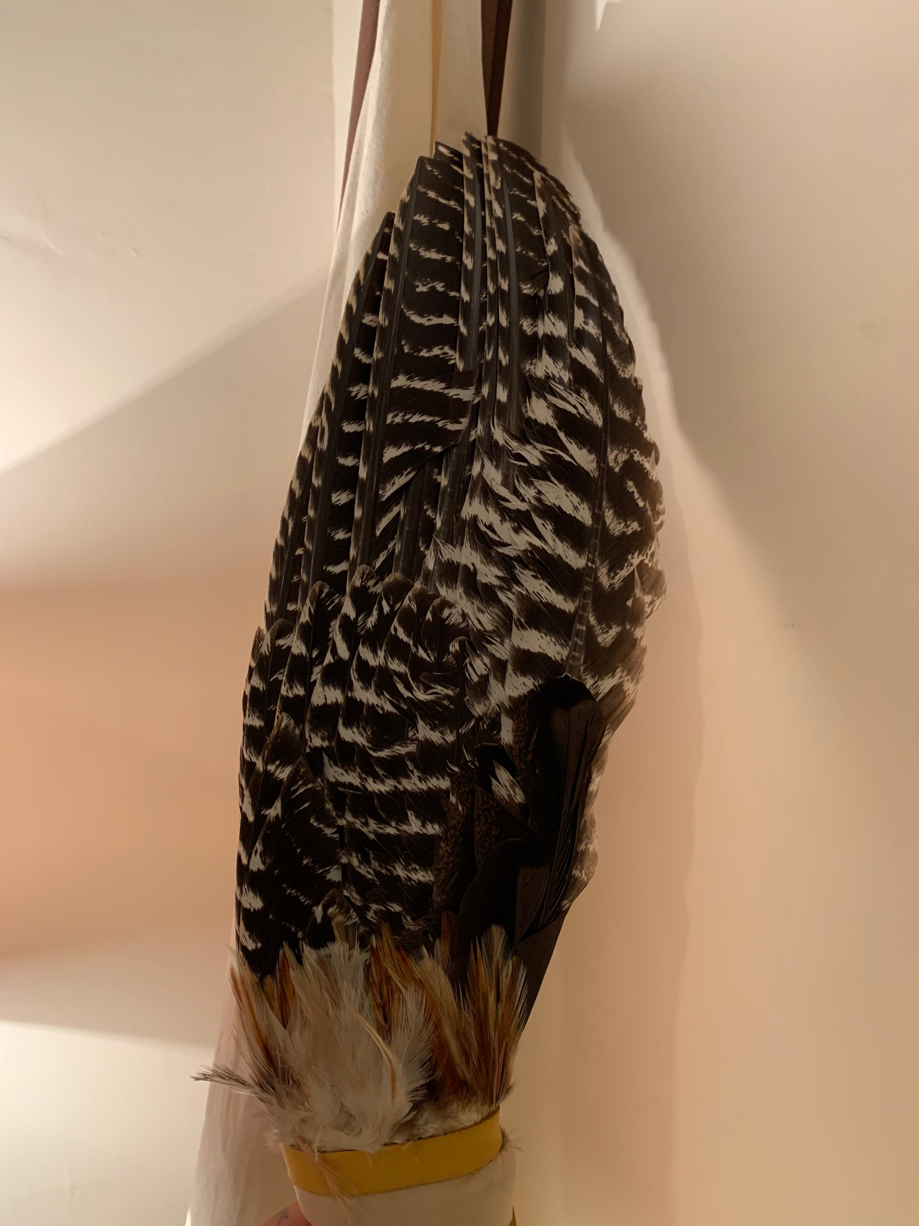 Natives Smudging Feather 印弟安族神聖羽毛